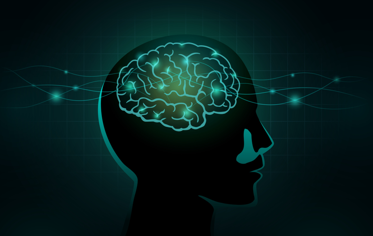 From Intrusive Memories To Memory Gaps How Does PostTraumatic Stress