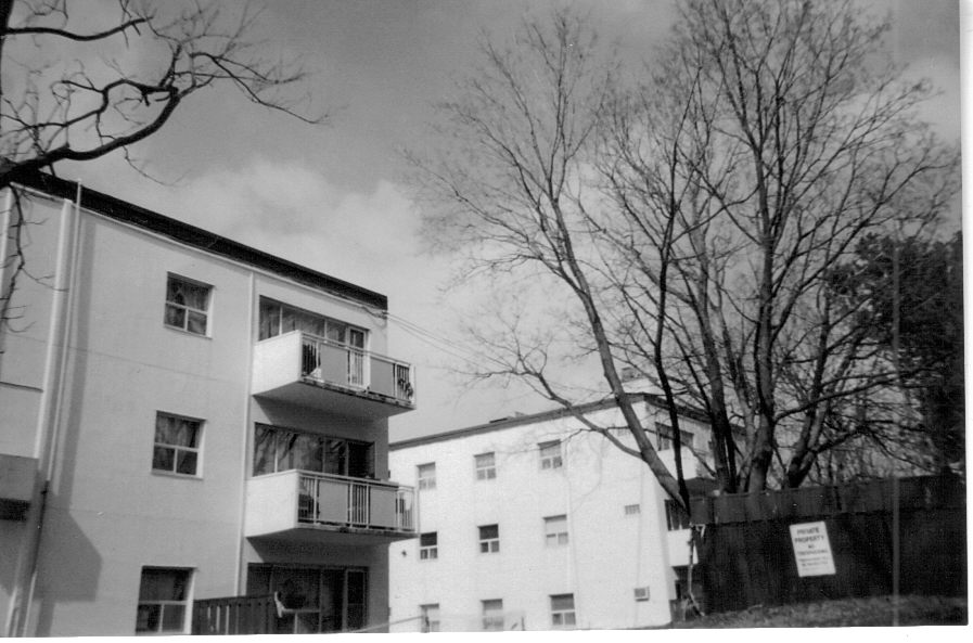 Willowtree Rap Dictionary