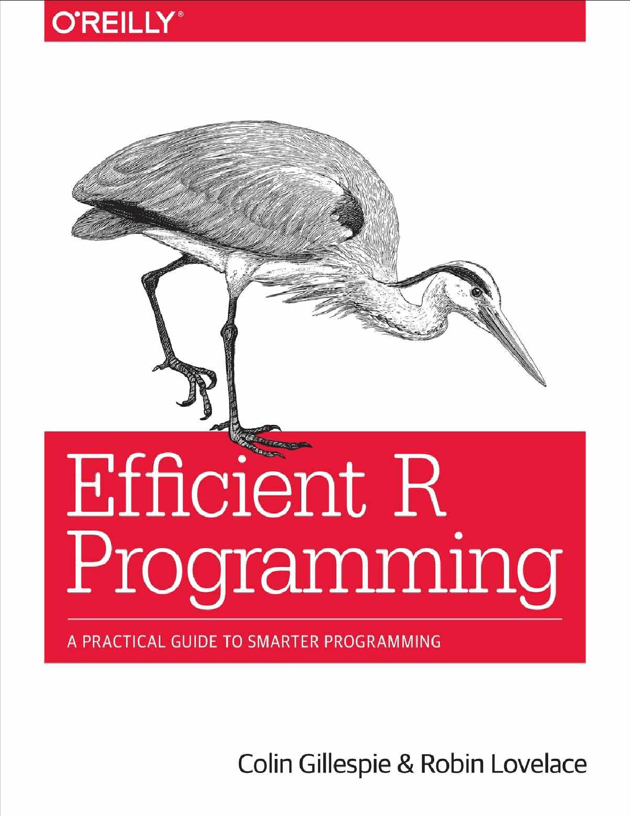 Efficient R Programming A Practical Guide To Smarter Programming