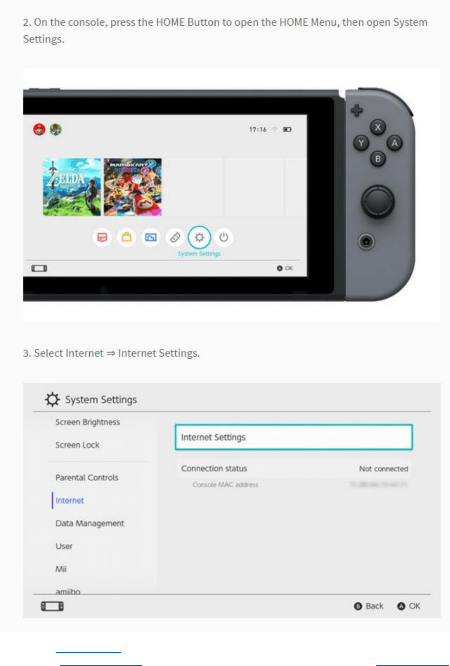 Nintendo Switch Operations Manual