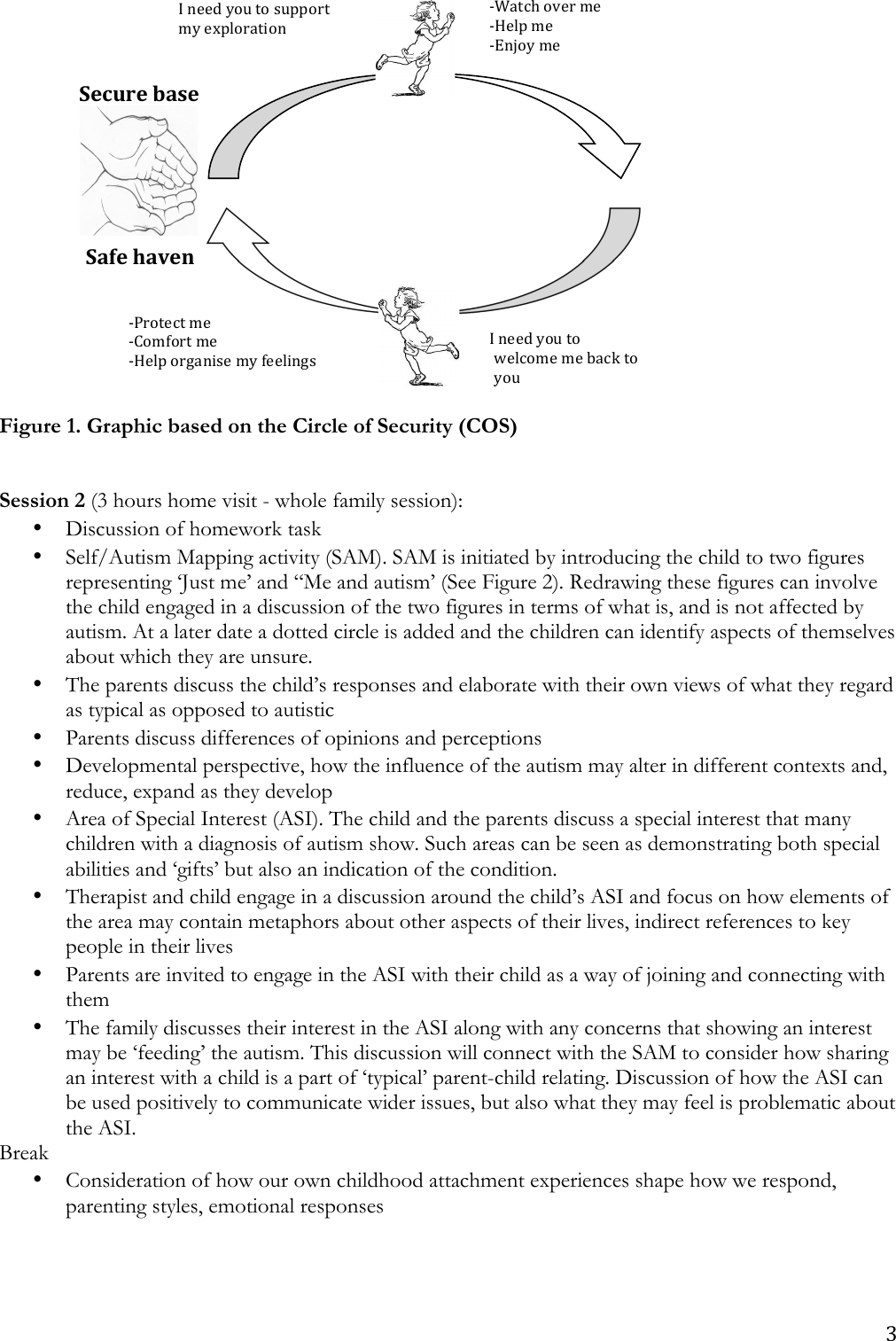 SAFE Manual