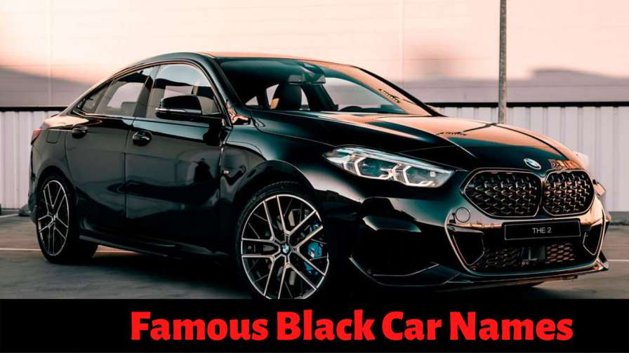 200+ Classy Black Car Names & Nicknames to Call Your Brand New Car