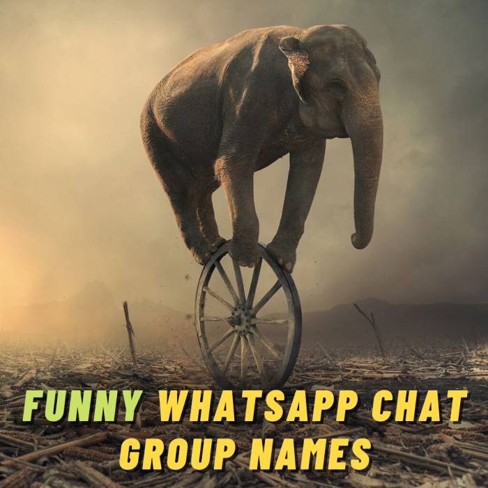 600+ Funny WhatsApp Group Chat Names For Friends, Family and Cousins