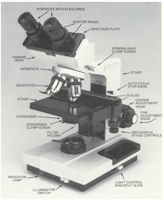 Microscope Lab