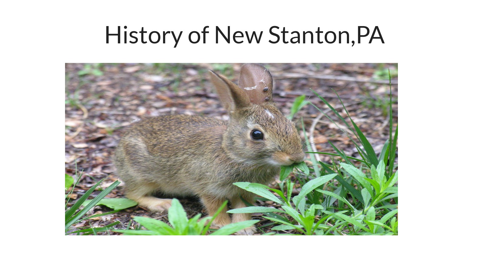 History of New Stanton,PA at emaze Presentation