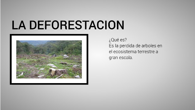 lA DEFORESTACION at emaze Presentation