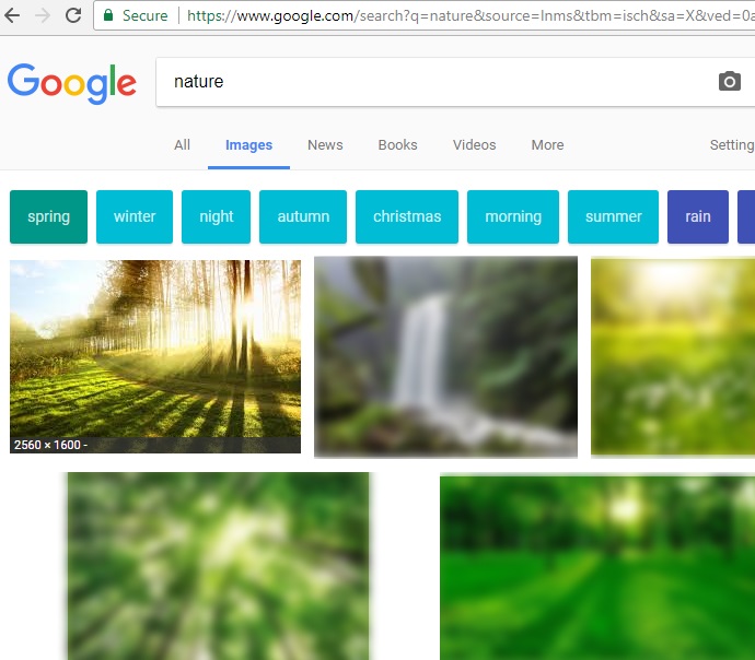 Google Image Blur and Unblur
