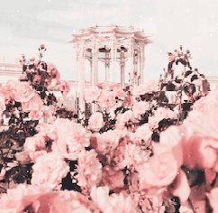 Pink Flower Aesthetic For Roblox | Userstyles.org