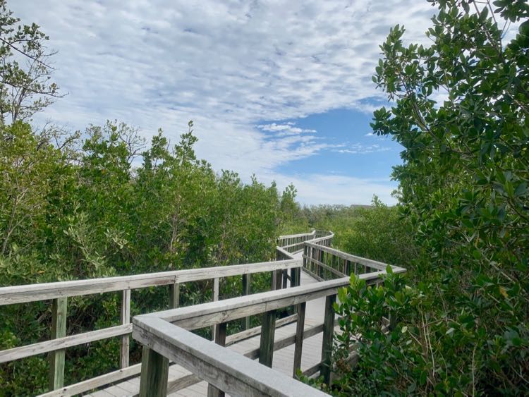 Things to Do in Indian Rocks Beach Fun Florida Mailboxes