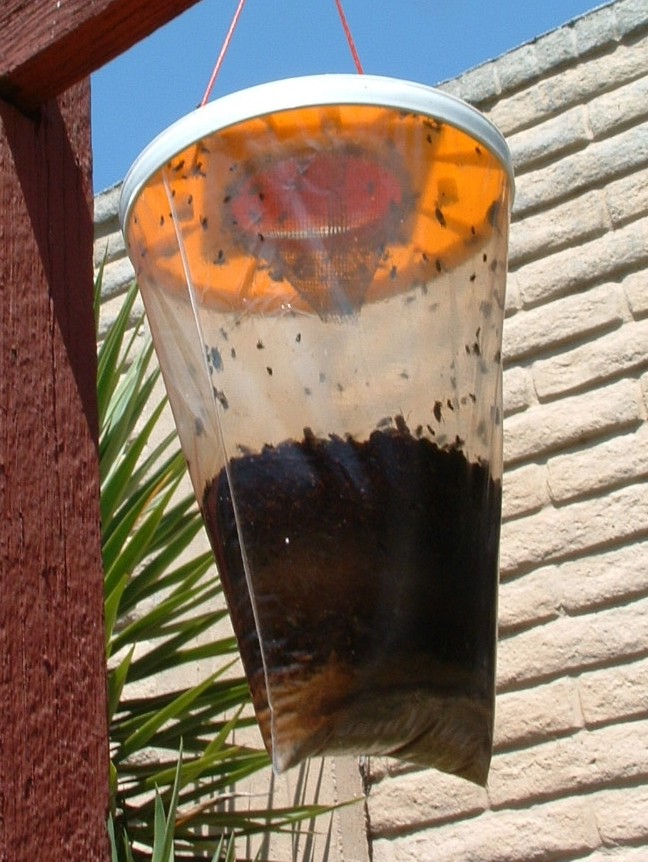 ハエ取り、ハエ退治、ハエ駆除、殺虫剤不要のハエ対策