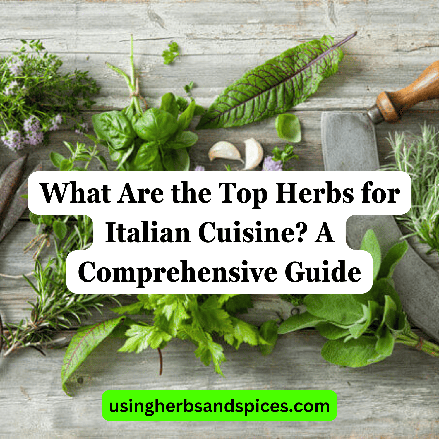 What Are the Top Herbs for Italian Cuisine? A Comprehensive Guide