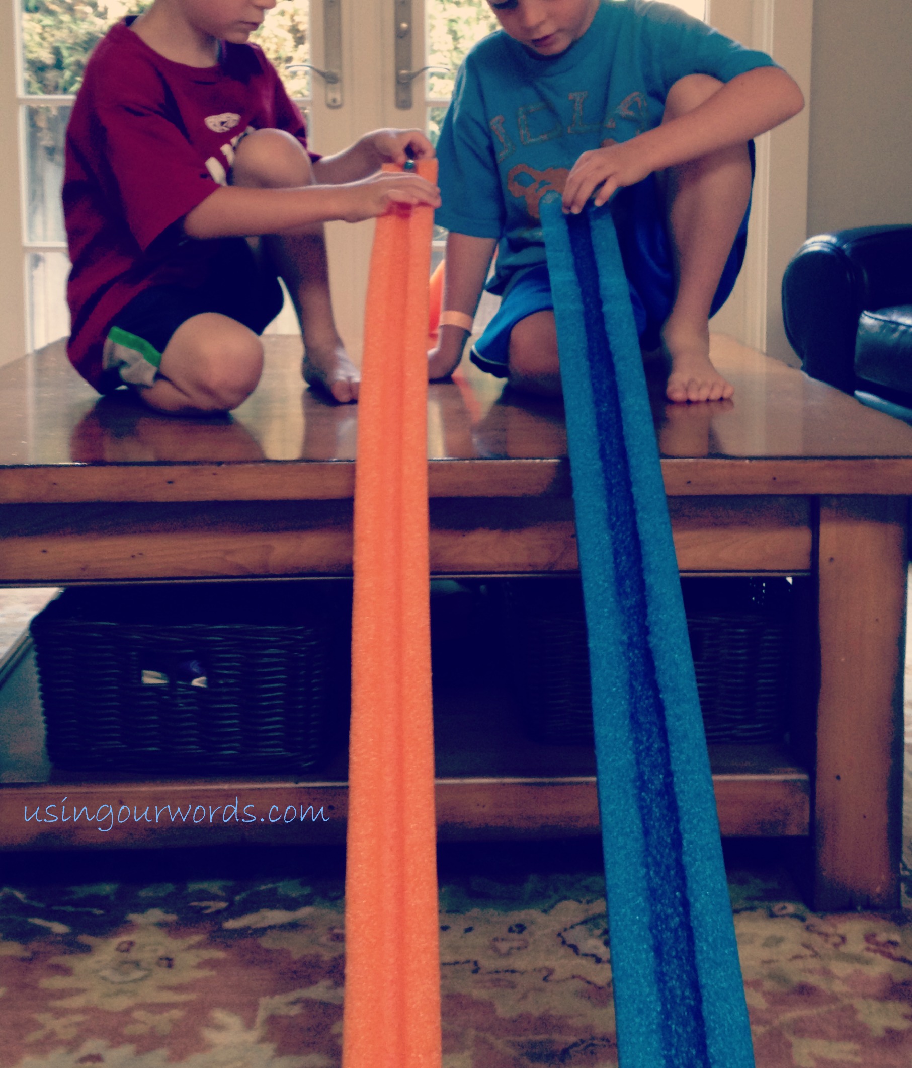 From The Pool to BacktoSchool Swim Noodle Science Using Our Words