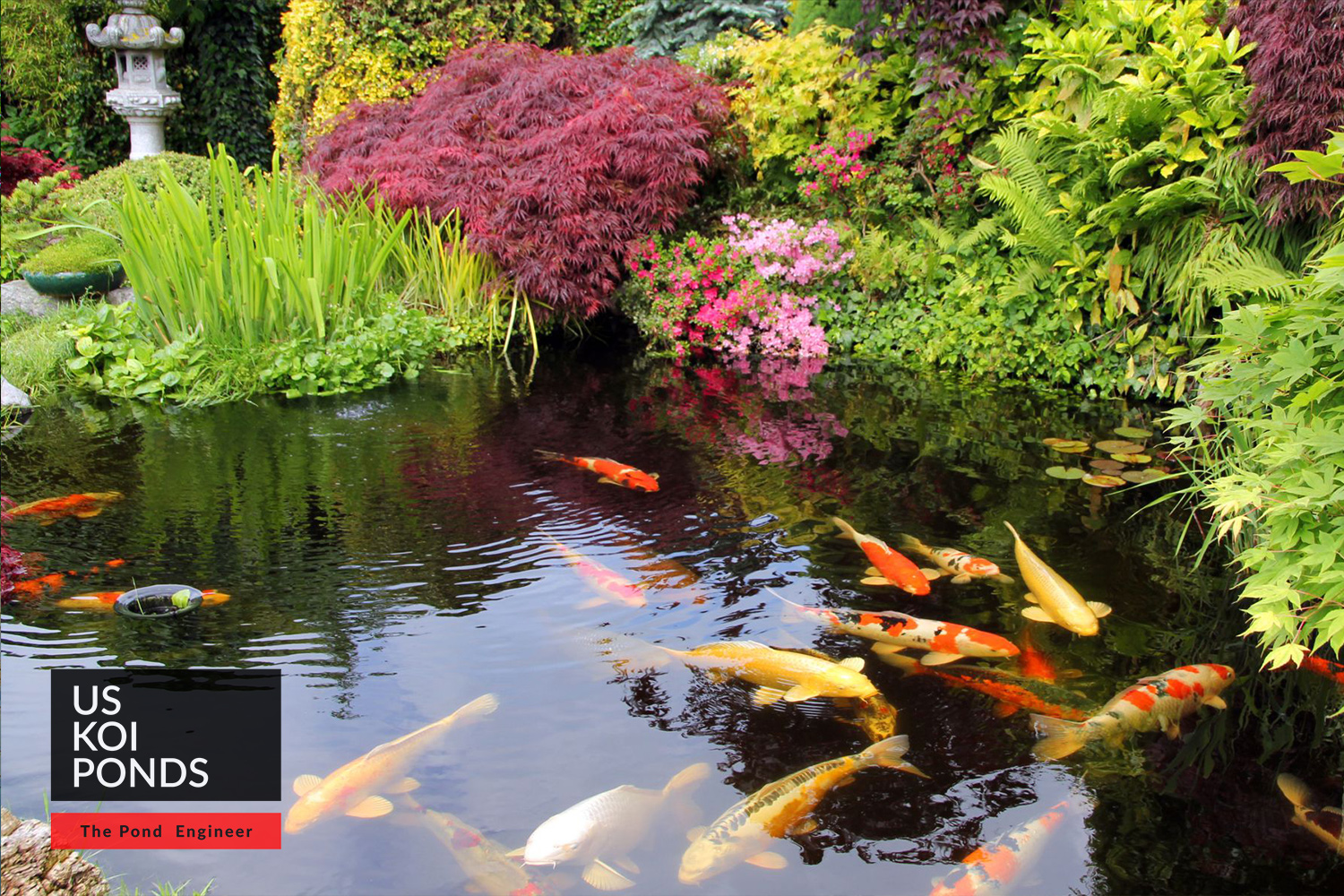 Houston Koi Pond Engineer Texas Premier Pond Construction
