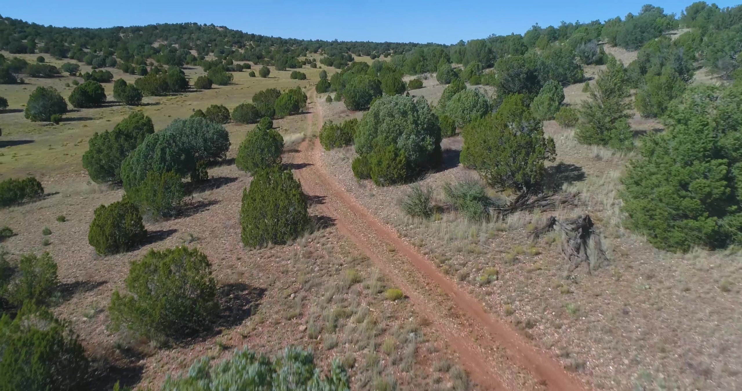 40 Acres in Antelope Valley Ranches US Land Traders