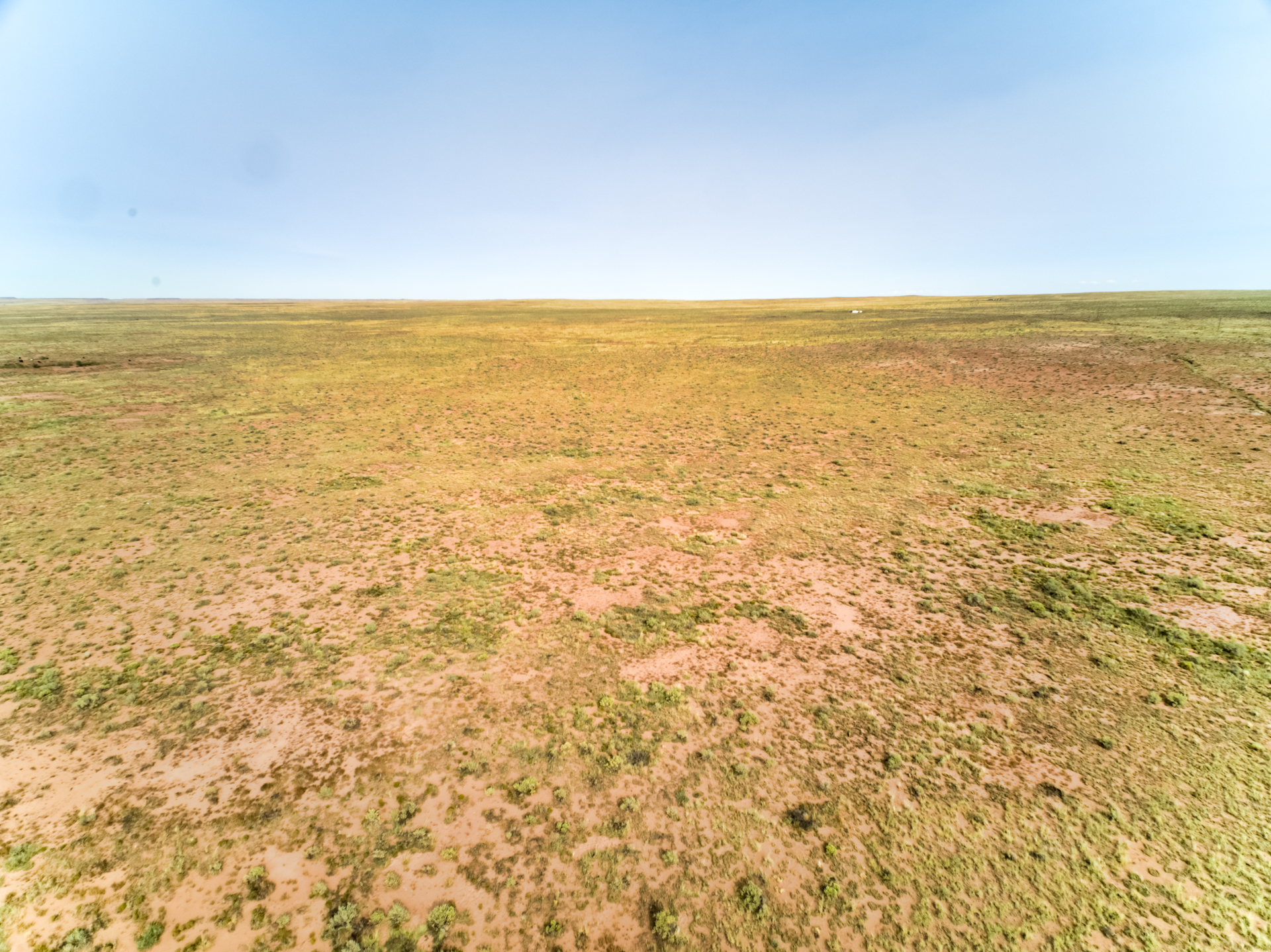SOLD 40 Acres near Woodruff, Navajo County, Arizona (Property 2) SOLD US Land Traders
