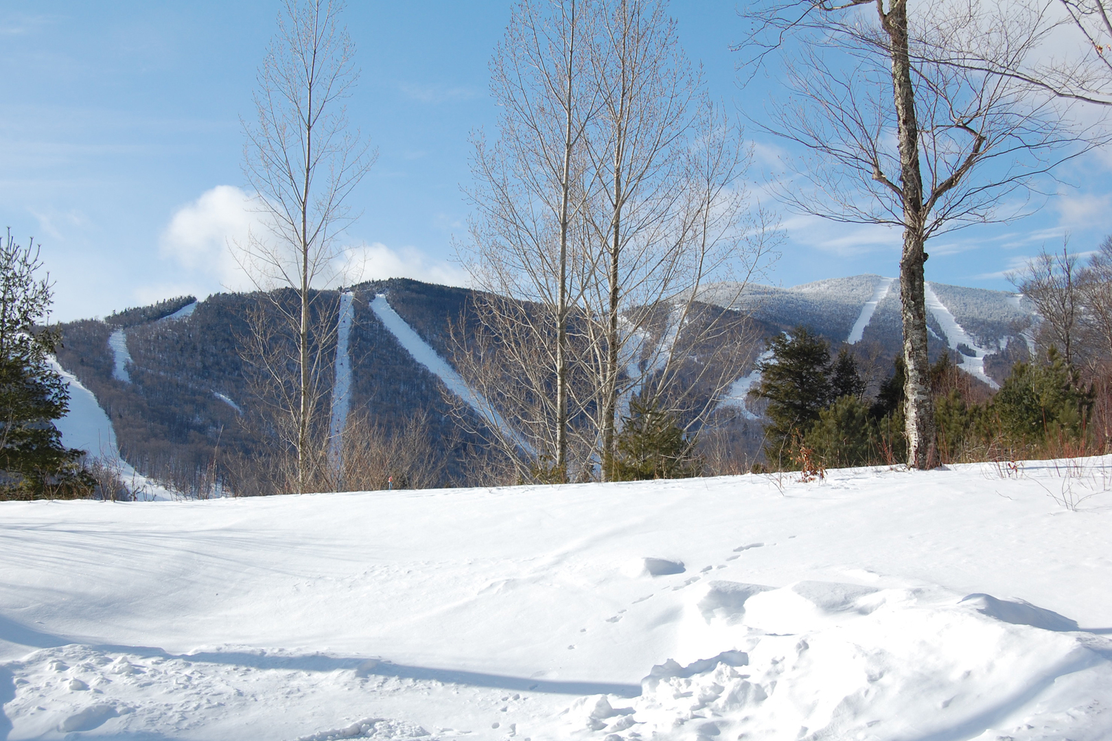 Sugarbush Real Estate by Property Type