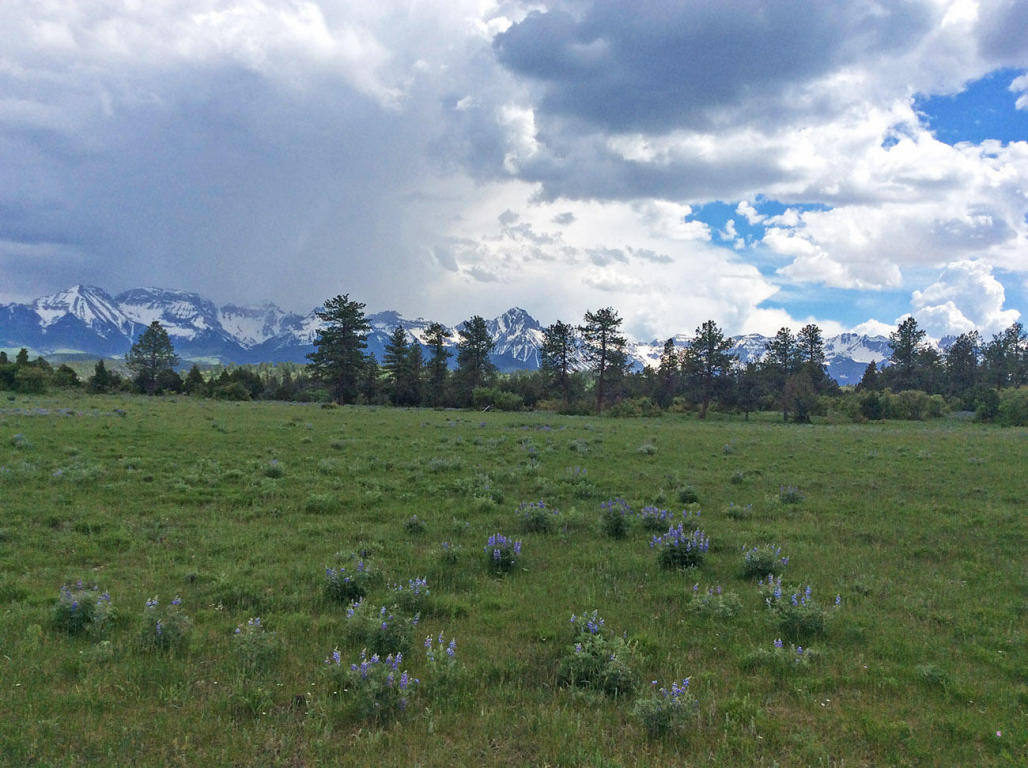 Telluride Real Estate Corp.