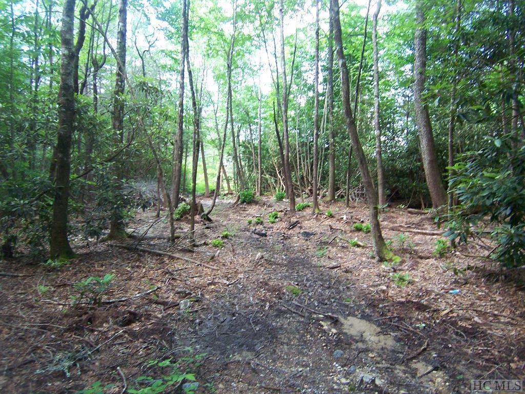 Lake Osseroga Land for Sale Highlands NC Silver Creek Real Estate Group