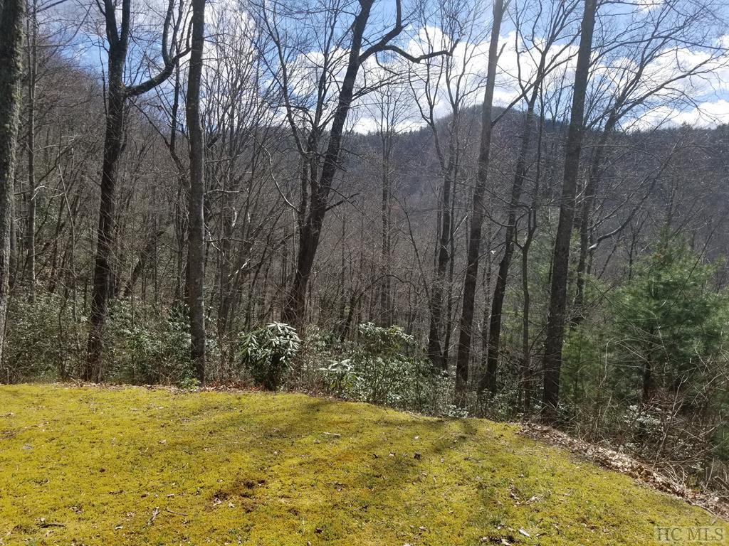 Sapphire Vista Estate Land For Sale Sapphire Valley NC Silver Creek