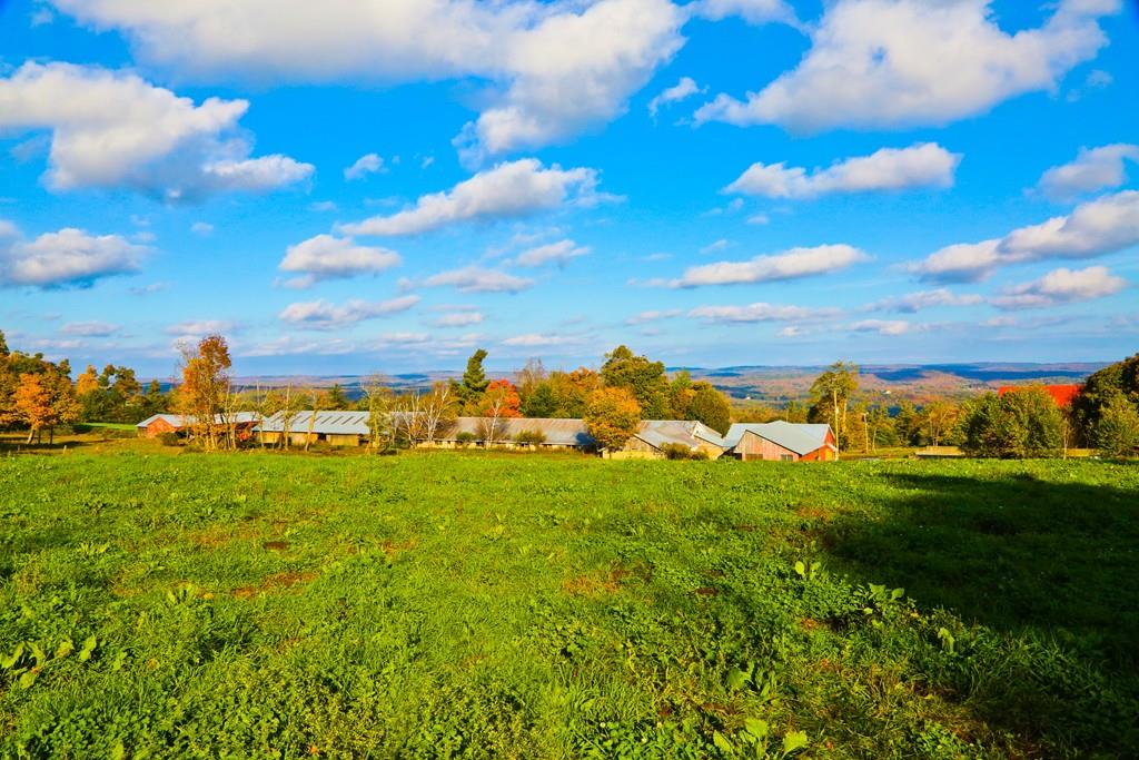 Antique Homes for Sale Western MA Pioneer Valley Antique Homes