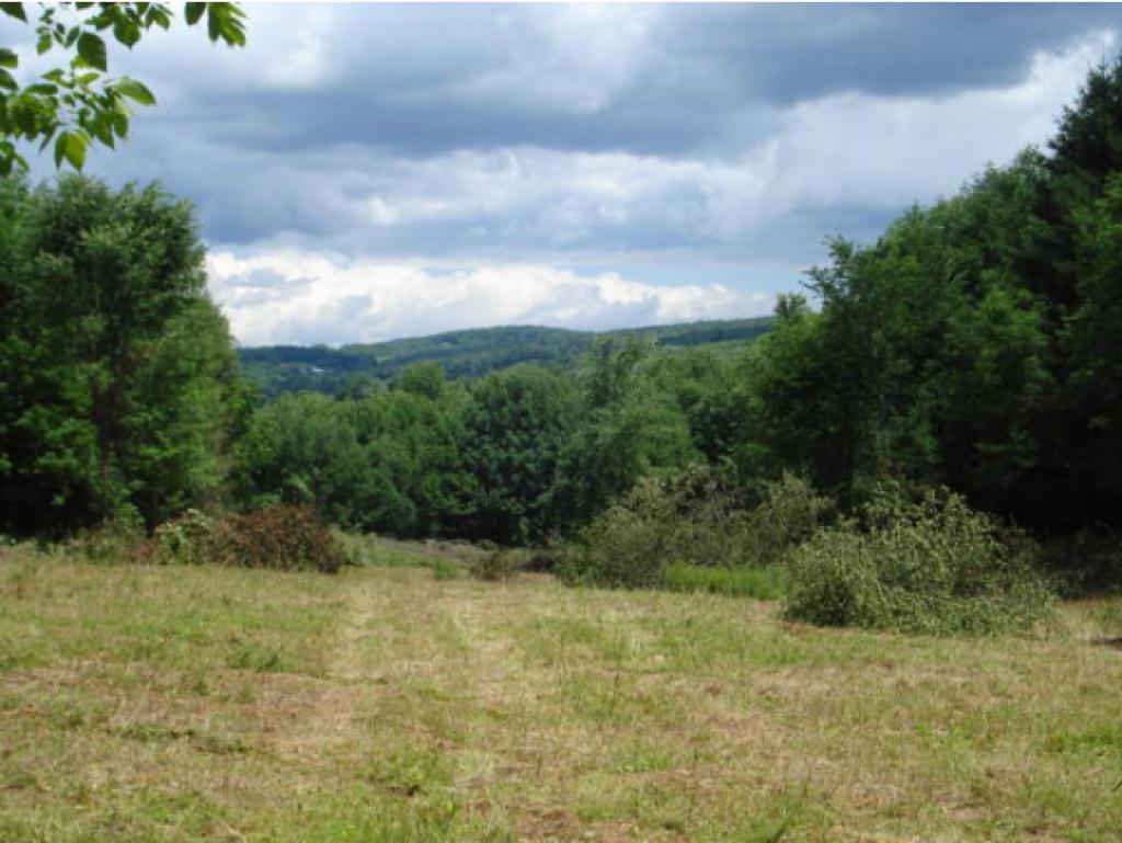 Multi Family Property For Sale Green Light Real Estate Montpelier