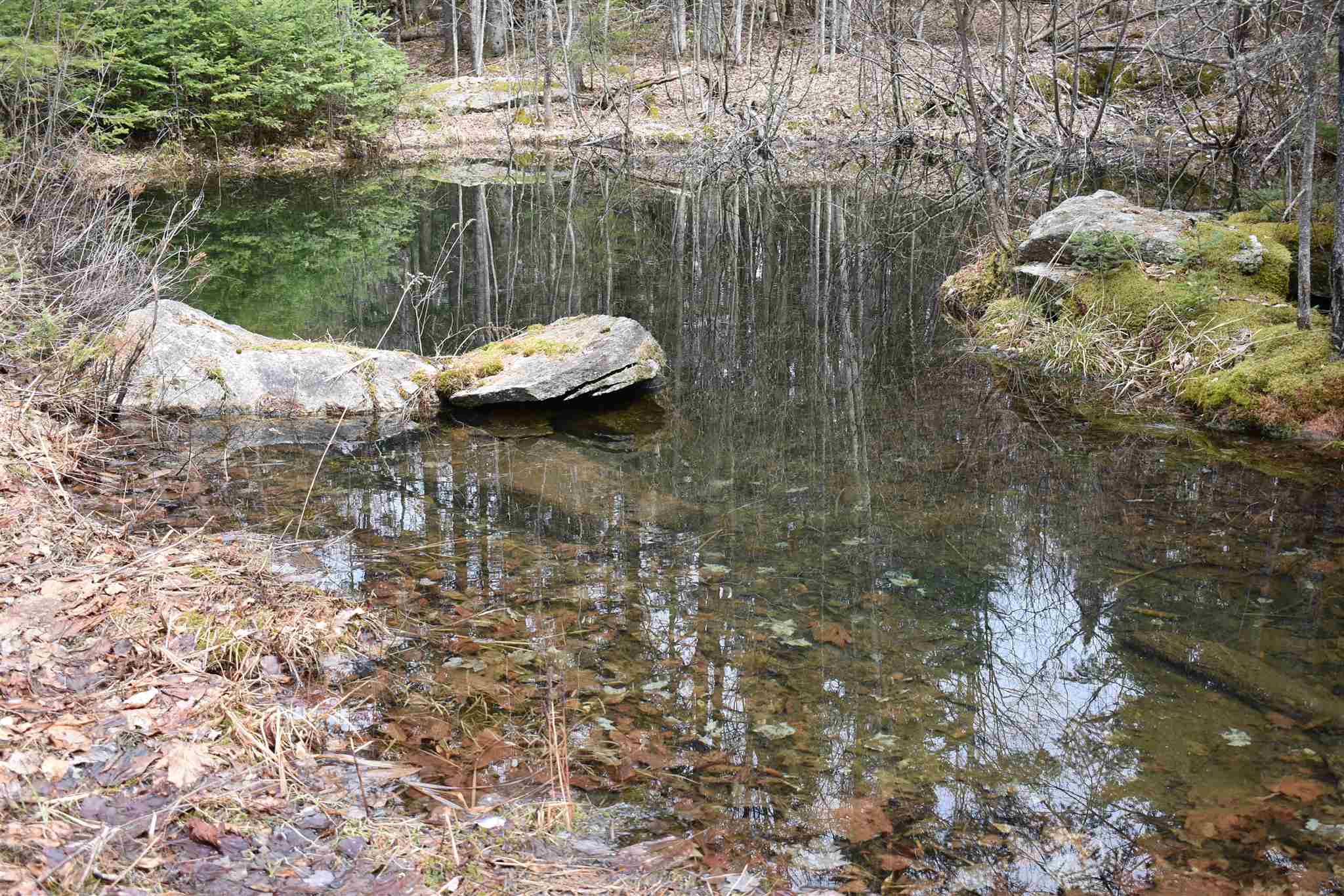 May Pond VT Real Estate CENTURY 21 Farm & Forest