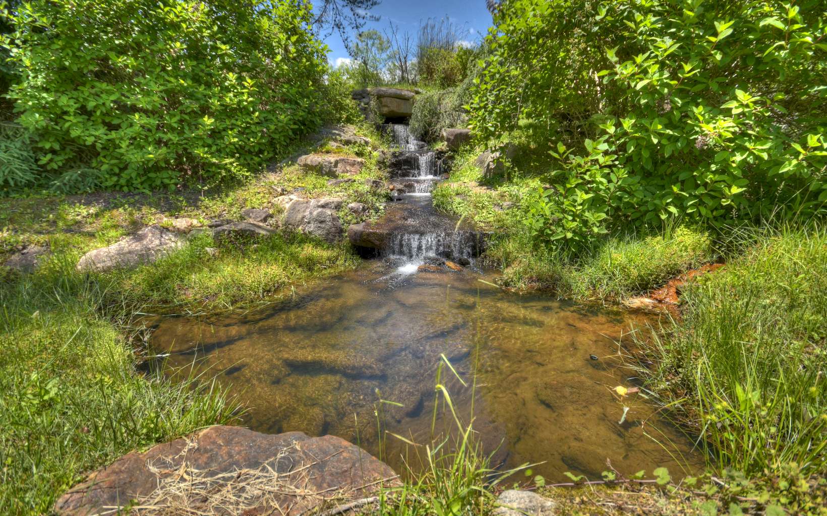 Blue Ridge, GA Land For Sale The Mountain Life Real Estate Team