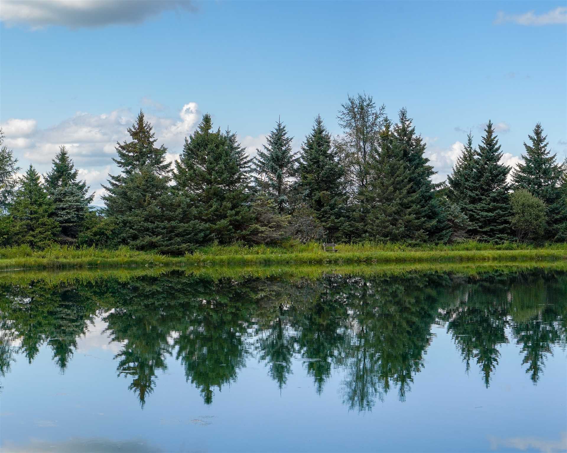 Craftsbury VT Real Estate for Sale Century 21 Farm & Forest