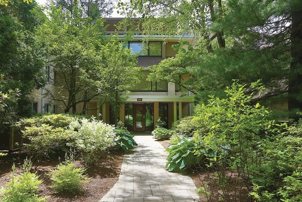 Condos for Sale in Jamaica Plain Cabot and Company