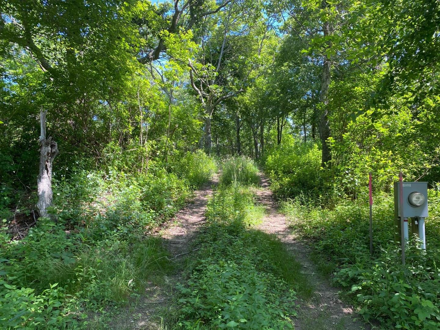 Aquinnah MA Land For Sale Grace Hagerty Real Estate