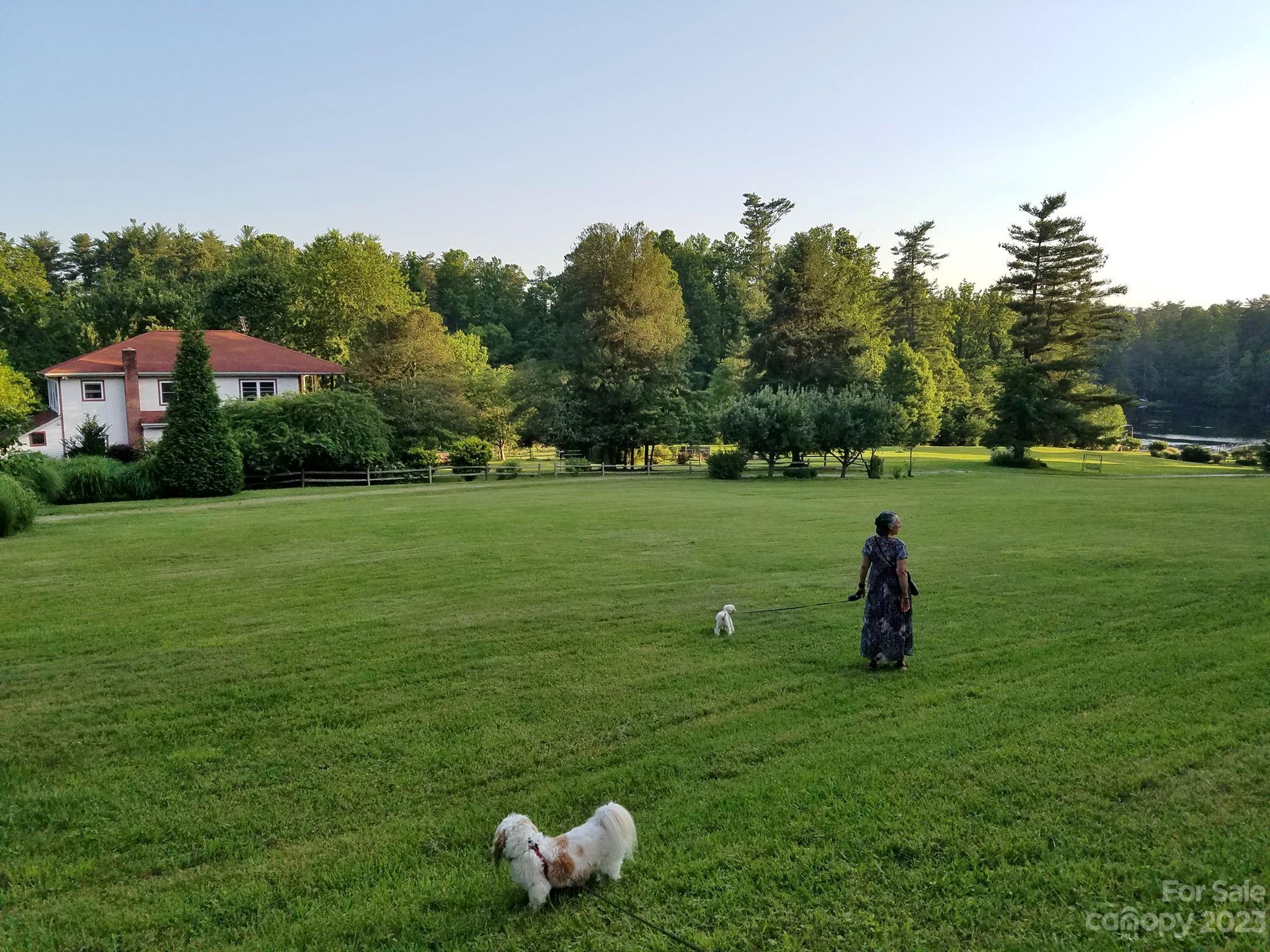 Lakefront Properties for Sale in Asheville Area Mosaic Realty