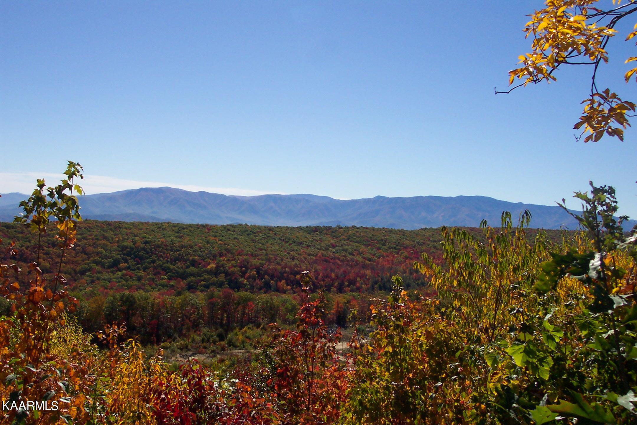 Land for Sale in Eastern Tennessee Wallace Real Estate