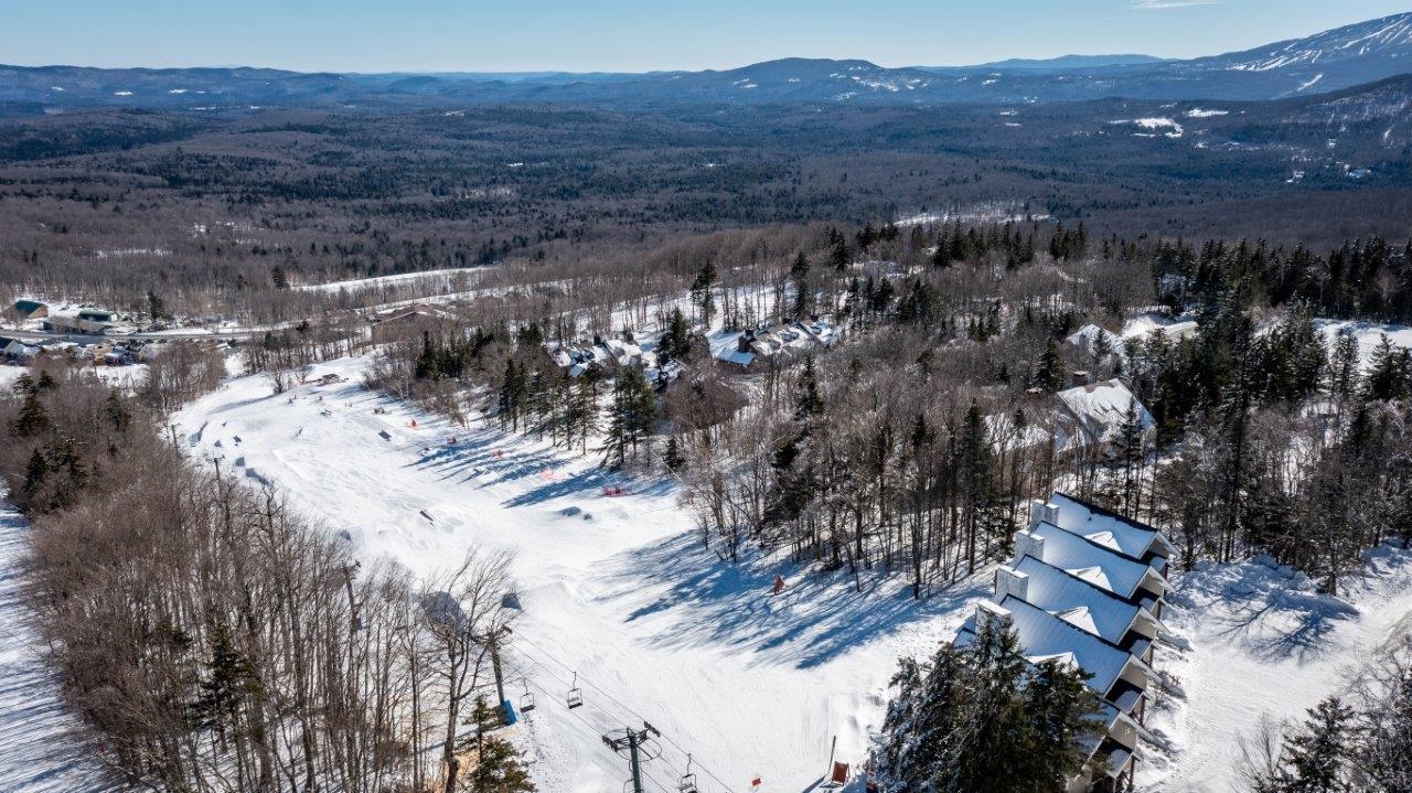 Dorset Vt Condos For Sale at Paula Solomon blog