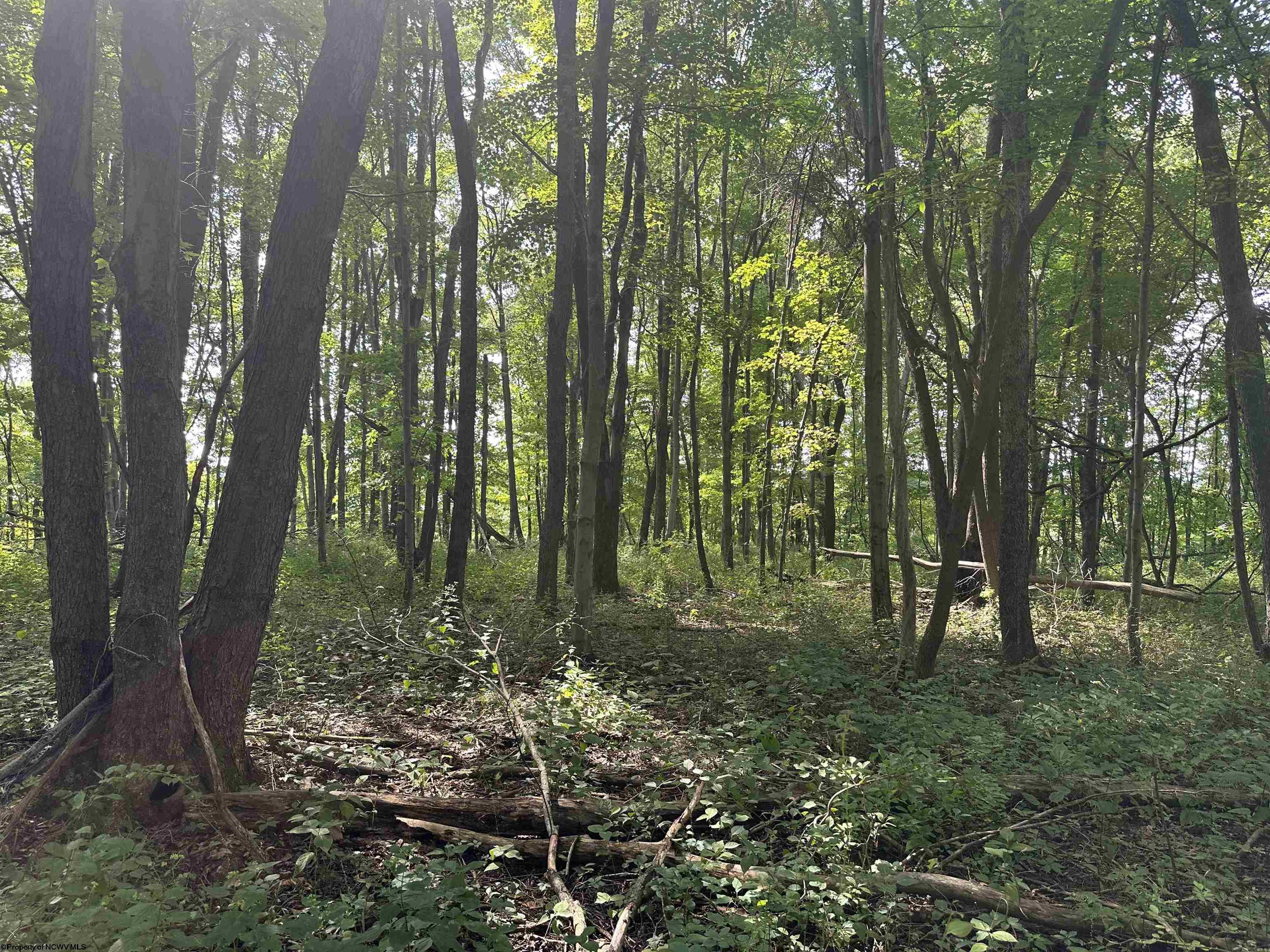 Lots & Land for Sale on Bowers Lane, WV Railey Realty