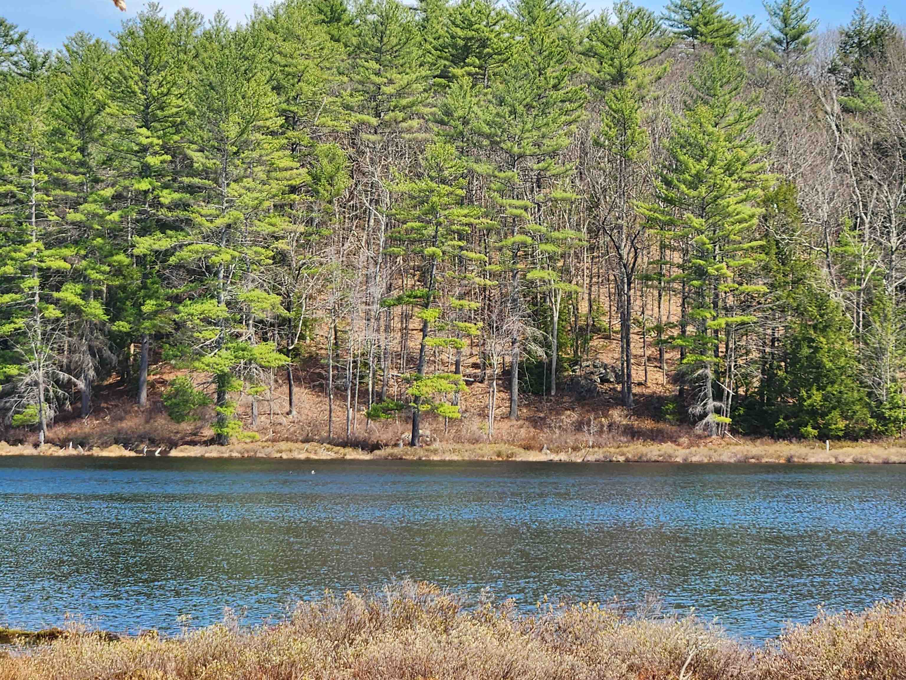 Concord NH Real Estate & Homes for Sale BHGRE The Masiello Group