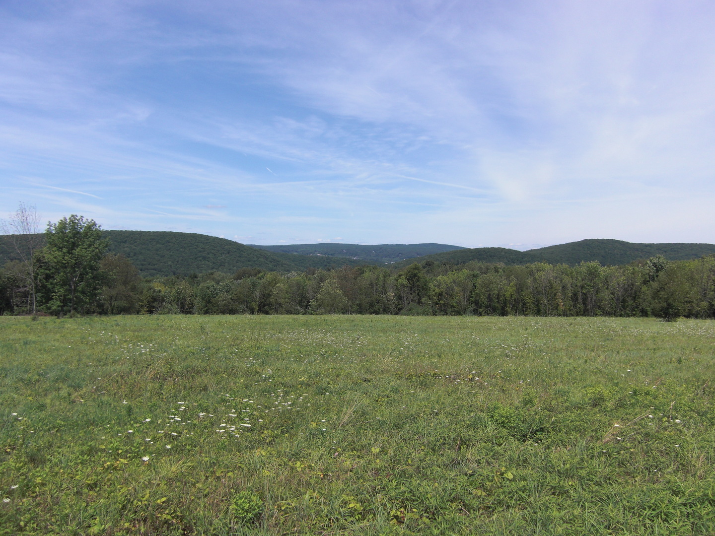 Litchfield County CT Real Estate for Sale 700K 1M William Raveis Lifestyles Realty