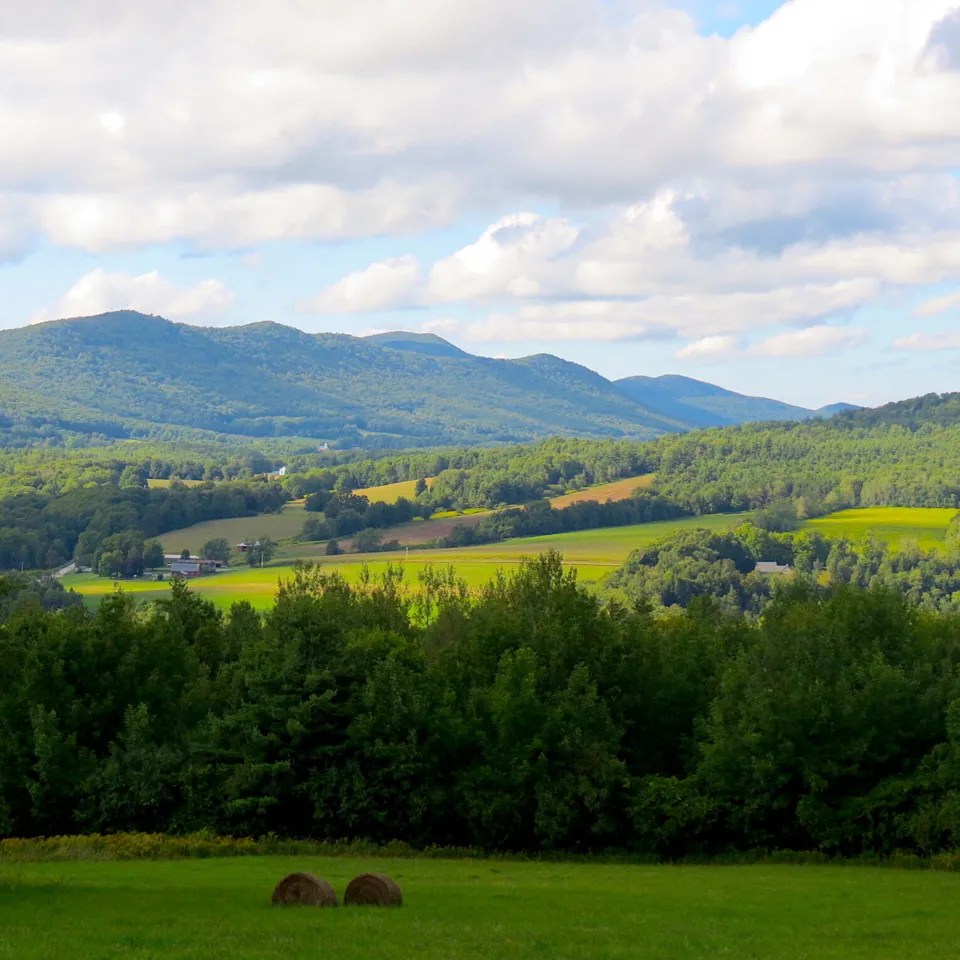 McChesney Real Estate, Inc.