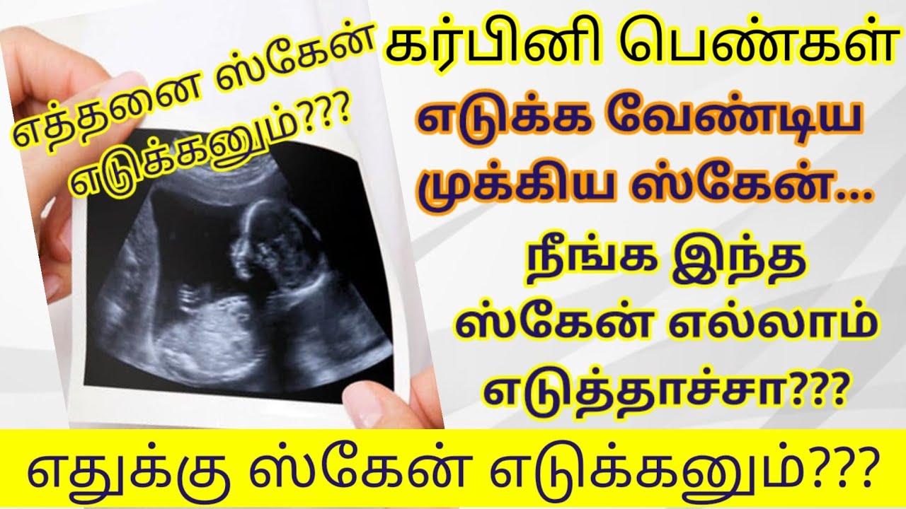 Important Scans During Pregnancy In Tamil How Many Scans During