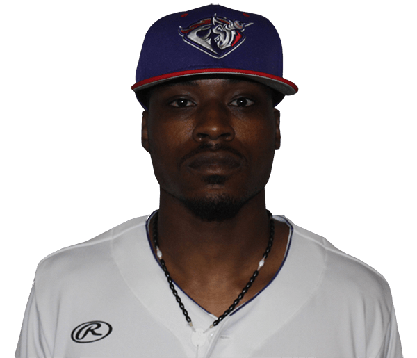 Duran Elmore United Shore Professional Baseball League (USPBL)