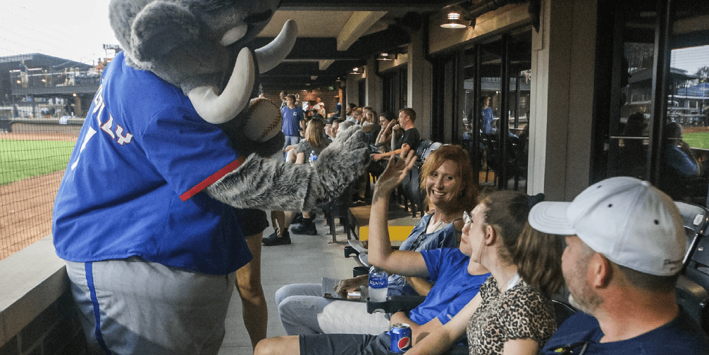 SingleGame Suites United Shore Professional Baseball League (USPBL)