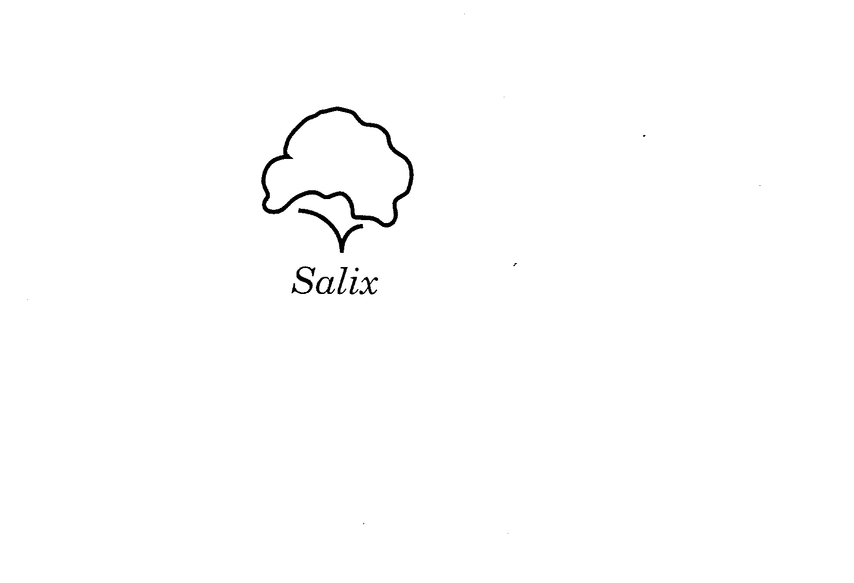 SALIX Salix Corporation Trademark Registration