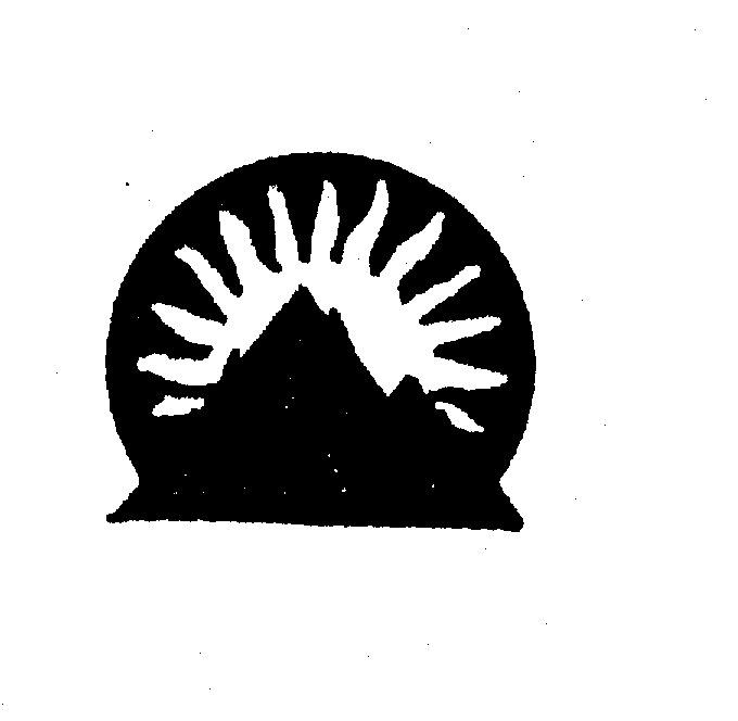 Battle Mountain Gold Company Trademark Registration