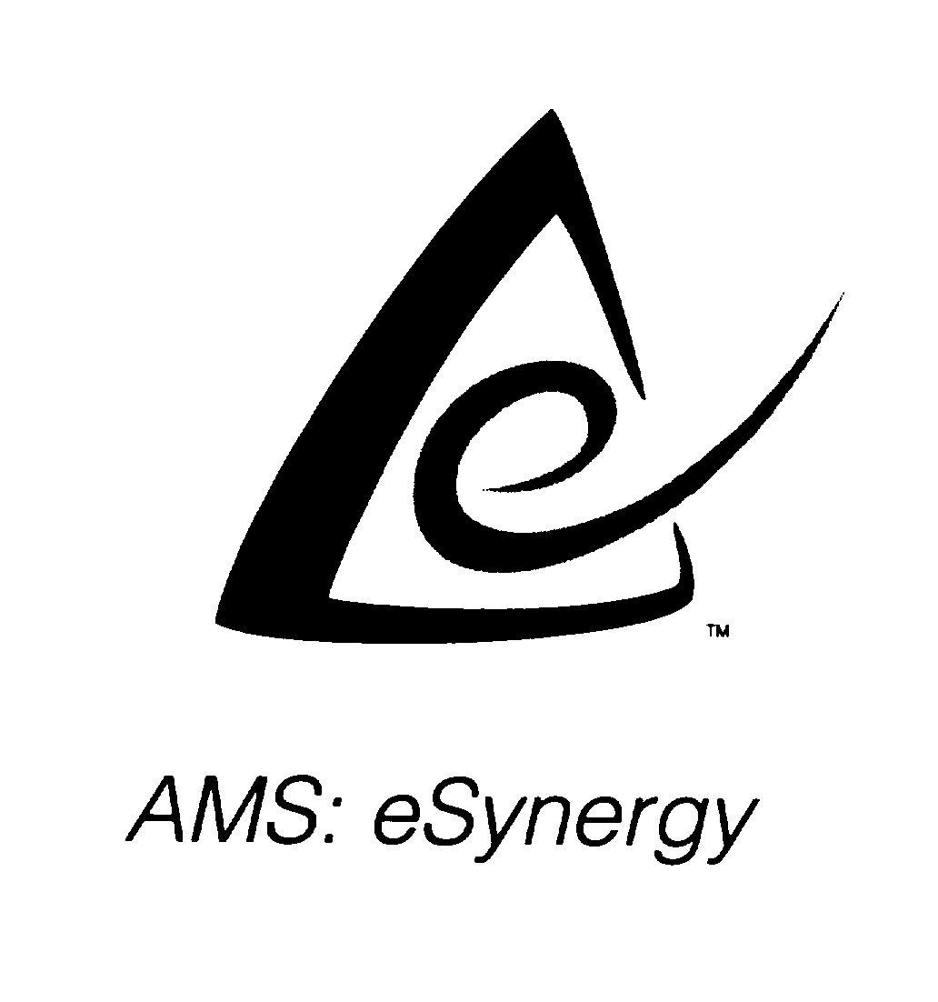 American Management Systems Inc Trademarks & Logos