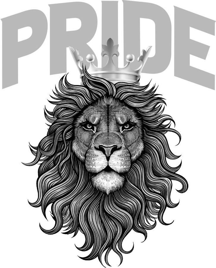 PRIDE JAW Ventures, LLC Trademark Registration