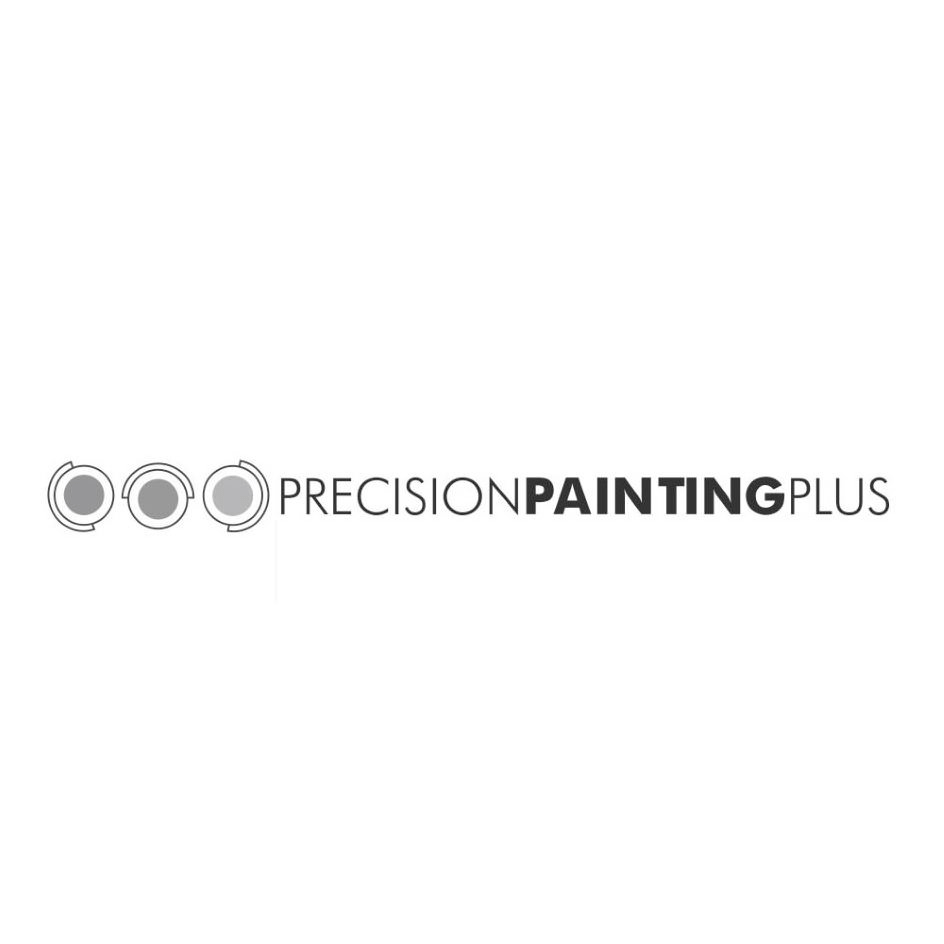 PRECISIONPAINTINGPLUS Precision Painting Plus Inc. Trademark Registration