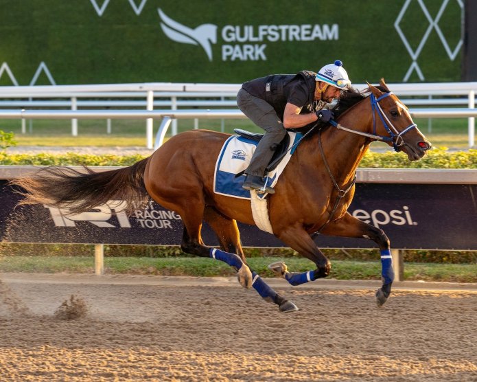 The Arlington Million: A New Chapter for a Racing Legacy