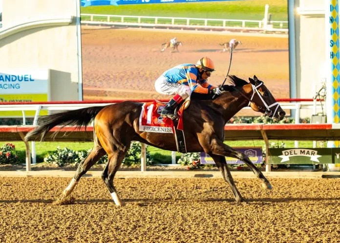 Pacific Traditional Outcomes: Fierceness Wins; Six Horses Earn Berths in Breeders’ Cup Races