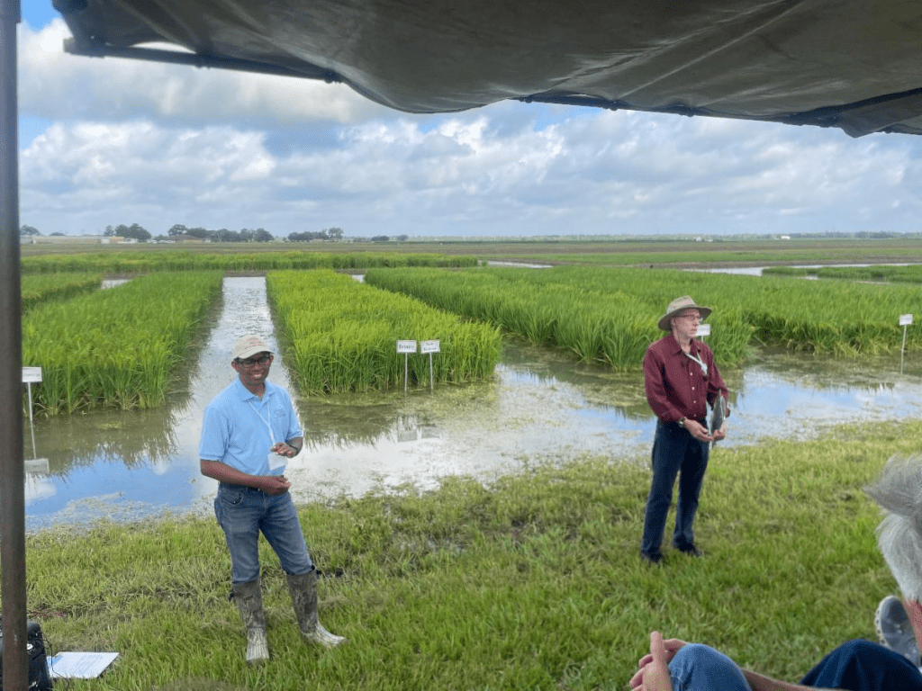 Beaumont Field Day US Rice Producers Association