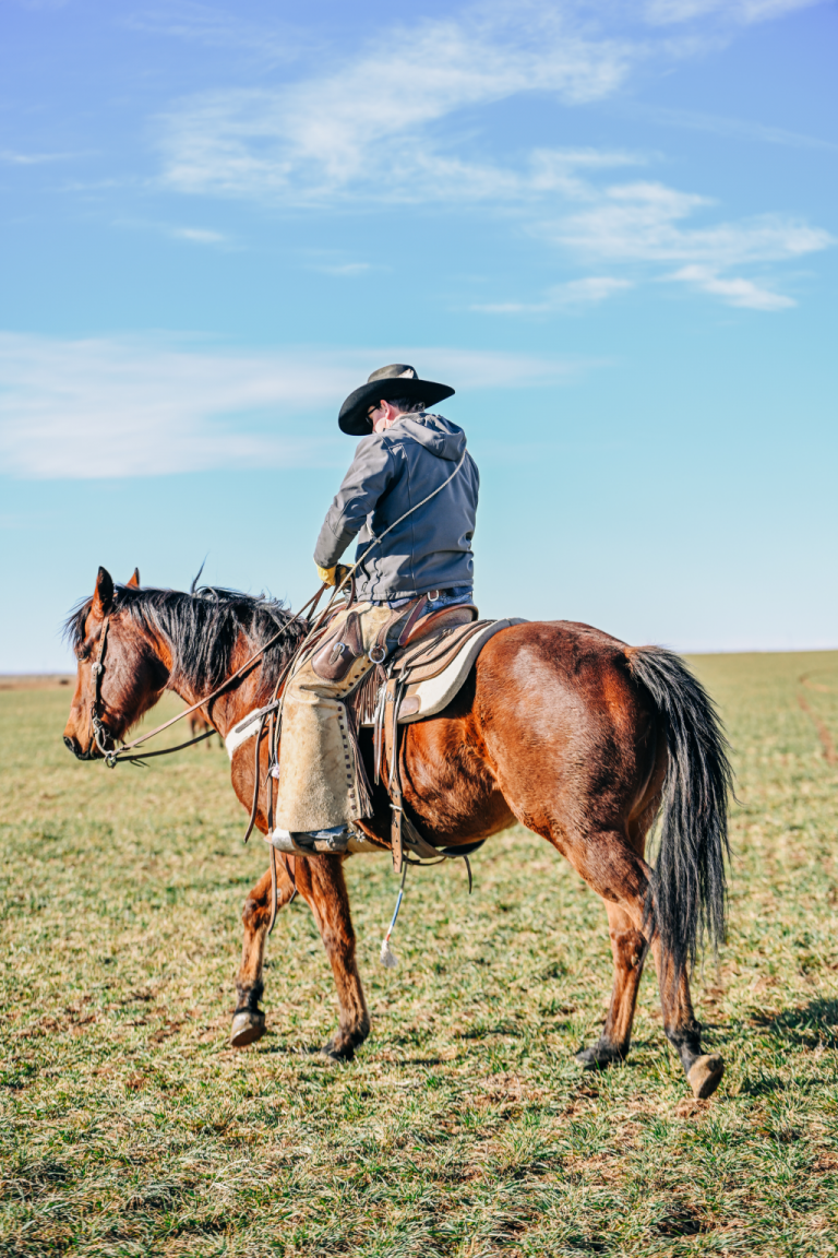 SADDLE SHOPPING SECRETS FIND THE PERFECT FIT USRoper