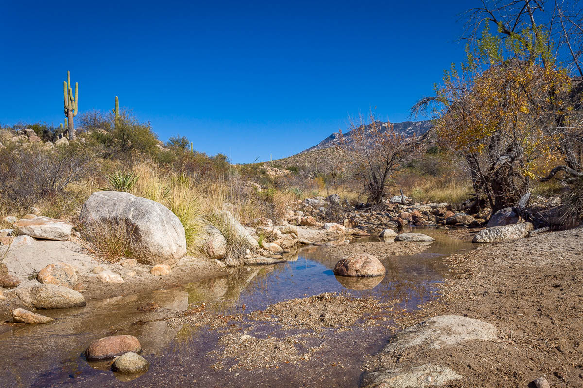 US Route 89 Roadside Diversion Catalina State Park, Arizona